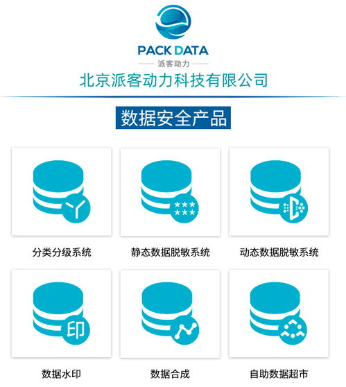數據治理咨詢服務 北京派客動力公司的軟件開發(fā)賦能之道