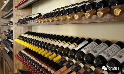 200畝農場年接待客戶18萬,營業(yè)額4000萬,怎么做到的?