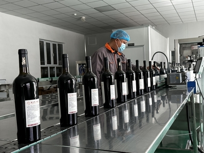 小樹莓變身大產(chǎn)業(yè) 伊寧市推動(dòng)特色林果業(yè)向優(yōu)質(zhì)高效發(fā)展